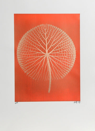 Giant Gold Amazon Waterlily on Orange Color | Jonathan Singer,{{product.type}}