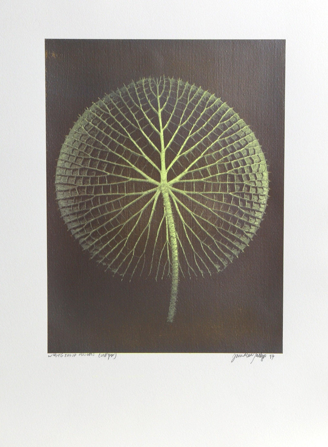 Giant Green Amazon Waterlily on Brown Color | Jonathan Singer,{{product.type}}