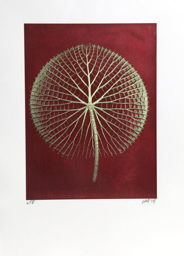 Giant Green Amazon Waterlily on Red Color | Jonathan Singer,{{product.type}}