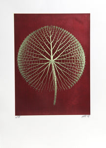 Giant Green Amazon Waterlily on Red Color | Jonathan Singer,{{product.type}}