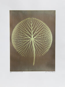 Giant Light Green Amazon Waterlily on Green Color | Jonathan Singer,{{product.type}}