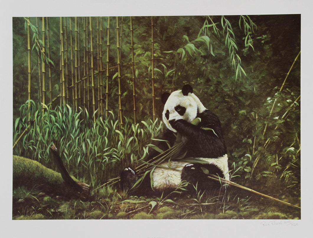 Giant Panda Lithograph | Rex Flood,{{product.type}}