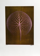 Giant Pink Amazon Waterlily on Gold Color | Jonathan Singer,{{product.type}}