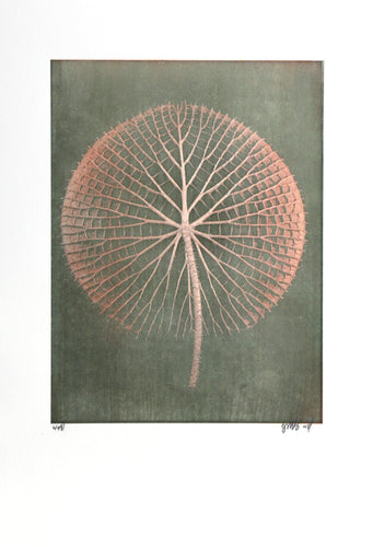 Giant Pink Amazon Waterlily on Green Color | Jonathan Singer,{{product.type}}