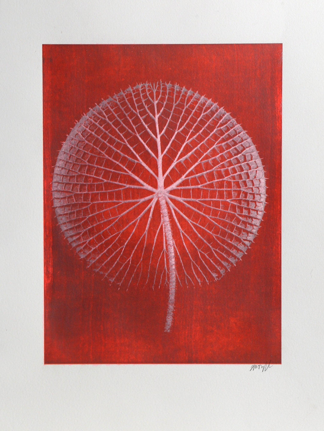 Giant Pink Amazon Waterlily on Red Color | Jonathan Singer,{{product.type}}