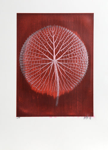 Giant Pink Amazon Waterlily on Red II Color | Jonathan Singer,{{product.type}}