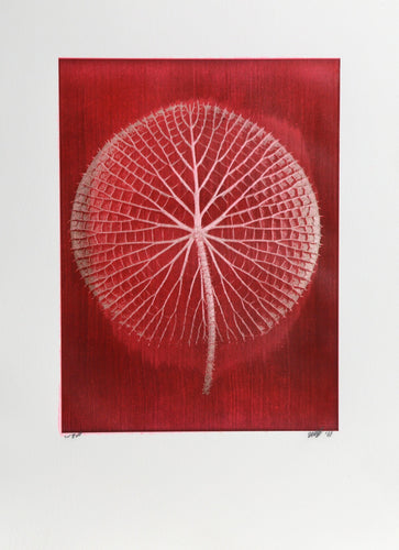 Giant Pink Amazon Waterlily on Red III Color | Jonathan Singer,{{product.type}}