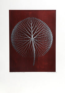 Giant Silver Amazon Waterlily on Burgundy Color | Jonathan Singer,{{product.type}}