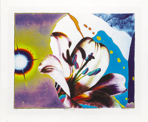 Golden Dancer Digital | Michael Knigin,{{product.type}}