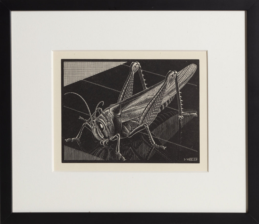 Grasshopper Woodcut | M.C. (Maurits Cornelis) Escher,{{product.type}}
