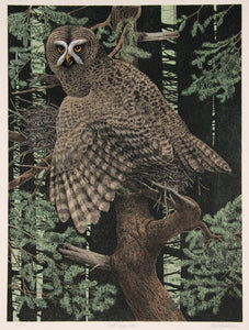 Great Grey Owl Lithograph | Mel Hunter,{{product.type}}
