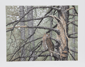 Great Horned Owl Lithograph | Chris Forrest,{{product.type}}