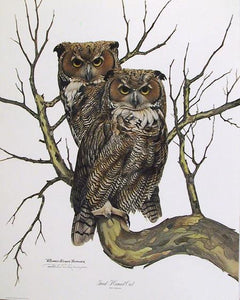Great Horned Owl Lithograph | Richard Evans Younger,{{product.type}}