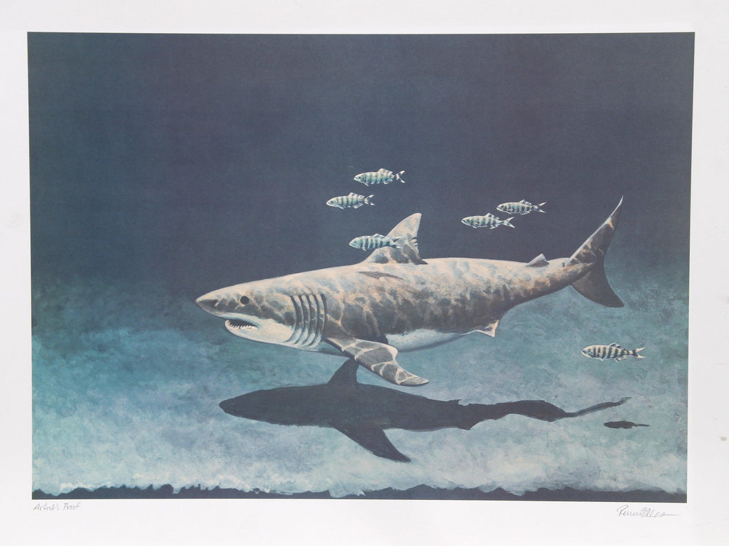 Great White Shark Lithograph | Richard Ellis,{{product.type}}