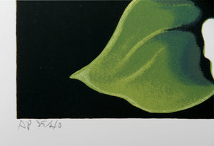 Green and White Irises Screenprint | Lowell Blair Nesbitt,{{product.type}}