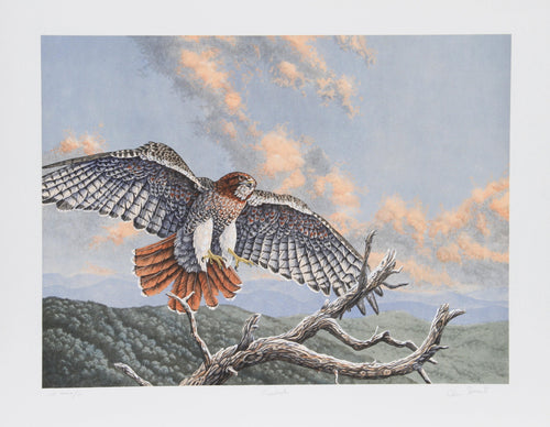 Green Mt. Overlook Lithograph | Chris Forrest,{{product.type}}