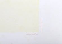 Guitare Verre et Bouteille Lithograph | Pablo Picasso,{{product.type}}