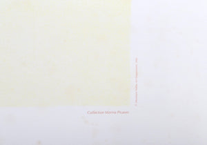 Guitare Verre et Bouteille Lithograph | Pablo Picasso,{{product.type}}