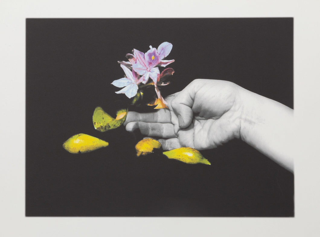Hand with Flowers Digital | Michael Knigin,{{product.type}}