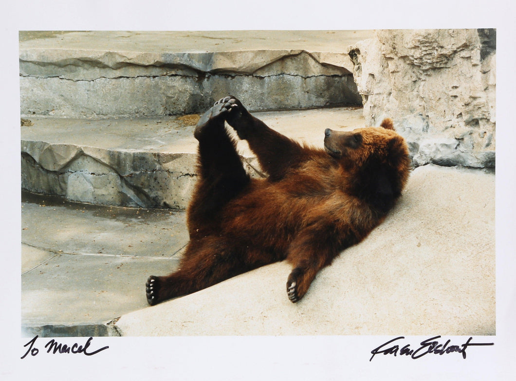 Happy Grizzly Bear at Zoo Color | Unknown Artist,{{product.type}}