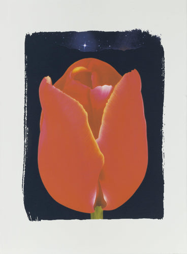 Happy Pilot II Digital | Michael Knigin,{{product.type}}