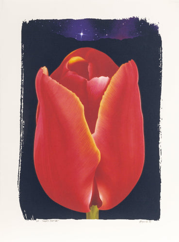 Happy Pilot III Digital | Michael Knigin,{{product.type}}