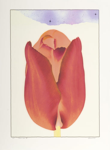 Happy Pilot IV Digital | Michael Knigin,{{product.type}}