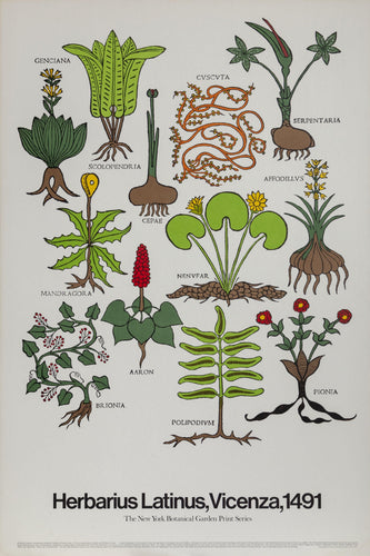 Herbarius Latinus - New York Botanical Society Poster | Leonardus Achates,{{product.type}}