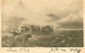 Herd in Highlands Ephemera | Unknown Artist,{{product.type}}