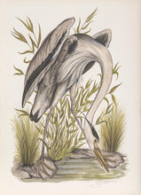 Heron Lithograph | Jerome Trolliet,{{product.type}}