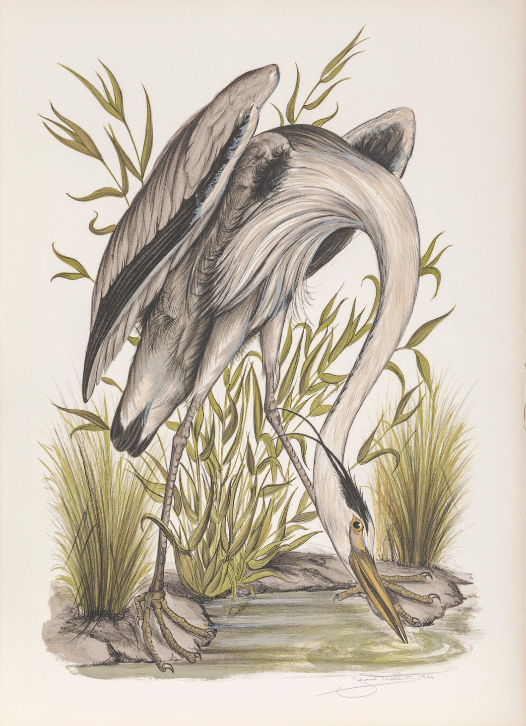 Heron Lithograph | Jerome Trolliet,{{product.type}}