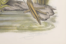 Heron Lithograph | Jerome Trolliet,{{product.type}}