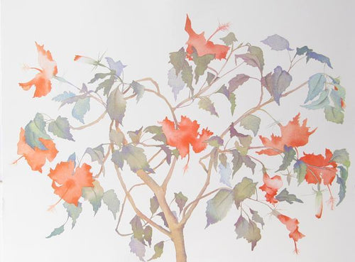 Hibiscus Lithograph | Susan Headley van Campen,{{product.type}}