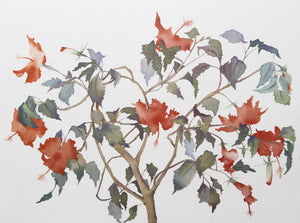 Hibiscus Lithograph | Susan Headley van Campen,{{product.type}}