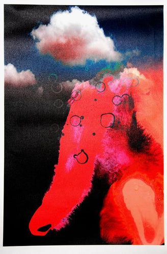 High Pass Digital | Michael Knigin,{{product.type}}