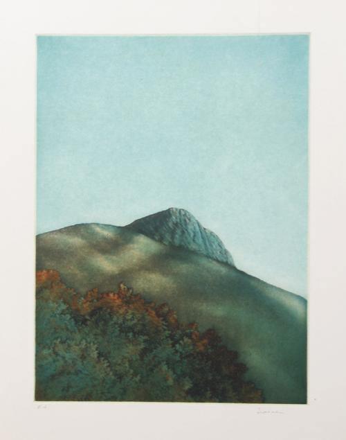 Hillside II Etching | Kurt Schönen,{{product.type}}
