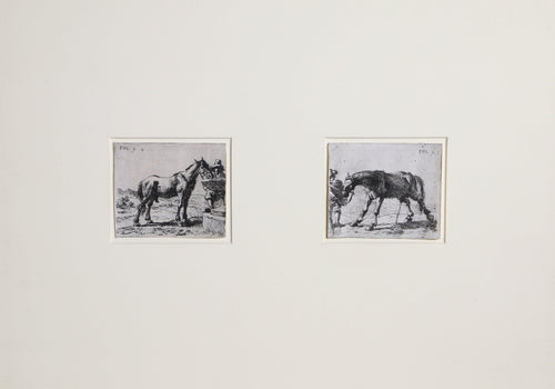Horse Drinking and Pissing Horse Etching | Pieter van de Laer,{{product.type}}