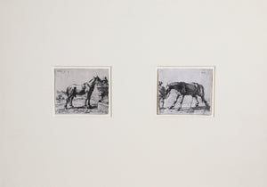Horse Drinking and Pissing Horse Etching | Pieter van de Laer,{{product.type}}
