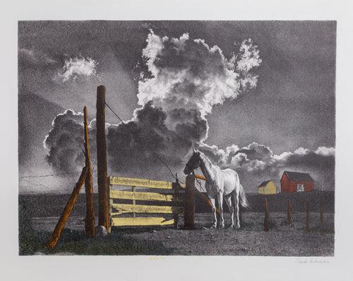 Horse in Field lithograph | Sandu Liberman,{{product.type}}