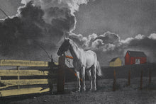 Horse in Field lithograph | Sandu Liberman,{{product.type}}