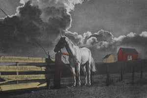 Horse in Field lithograph | Sandu Liberman,{{product.type}}