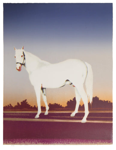 Horse Lithograph | Howard Kanovitz,{{product.type}}