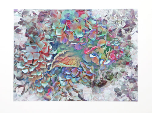 House Flowers III Digital | Michael Knigin,{{product.type}}