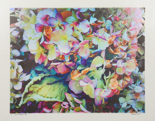 House Flowers XI Digital | Michael Knigin,{{product.type}}