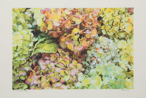 House Flowers XIX Digital | Michael Knigin,{{product.type}}