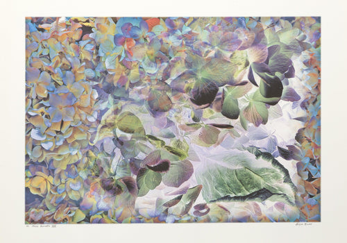 House Flowers XV Digital | Michael Knigin,{{product.type}}