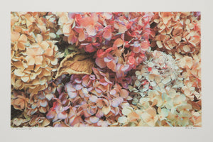 House Flowers XVI Digital | Michael Knigin,{{product.type}}
