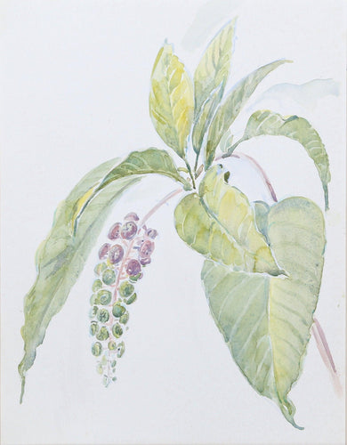 House Plant Watercolor | Charles Blaze Vukovich,{{product.type}}