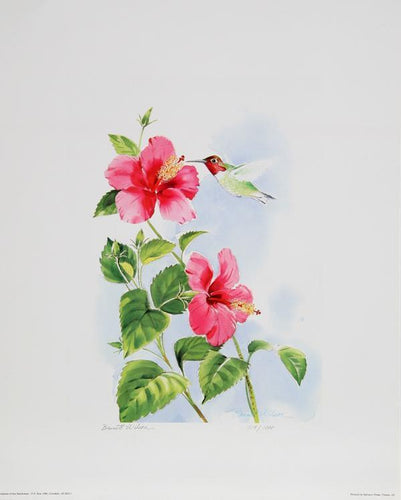 Hummingbird Lithograph | Bennett Wilson,{{product.type}}