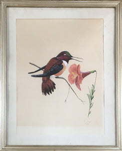 Hummingbird with Flower Watercolor | R. Vogel,{{product.type}}